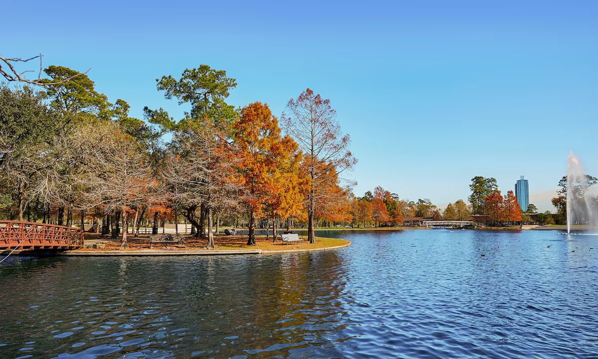 Rent a Car Stafford TX: Your Complete Guide to Affordable, Reliable Car Rentals in Stafford, Texas 🚗