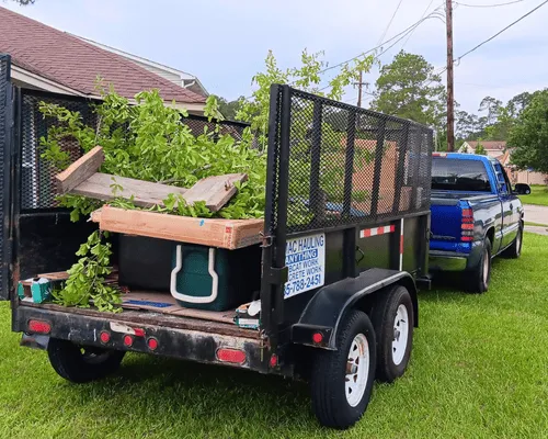 LaPlace, LA Tree Cutting