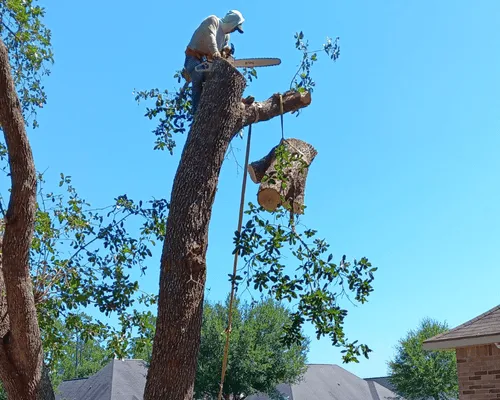 Junk Hauling in Slidell, LA