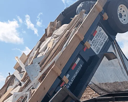 Hammond, LA Tree Cutting