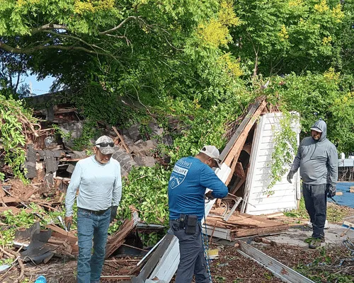 New Orleans, LA Tree Cutting