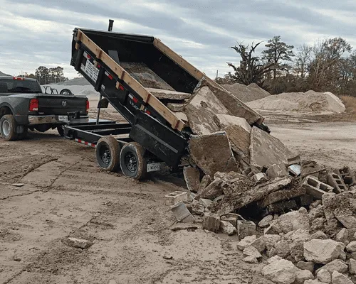 Picayune, MS Tree Cutting