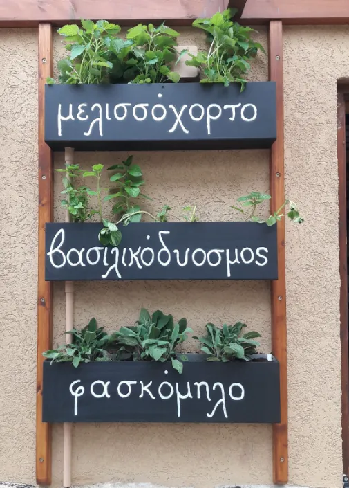 Forsos Tavern is located in limassol moutagiaka