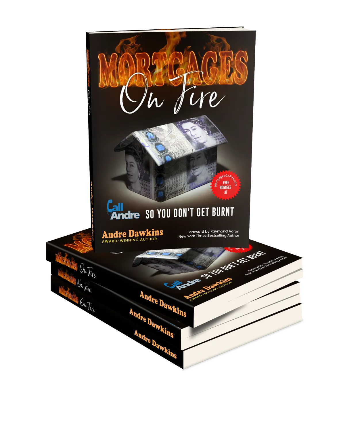 Mortgages on Fire book cover