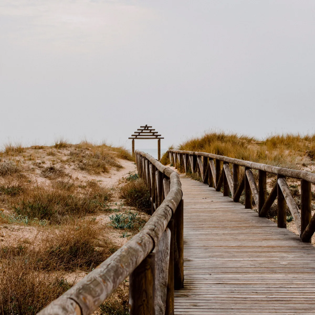 a computer screen displaying a stock market chart