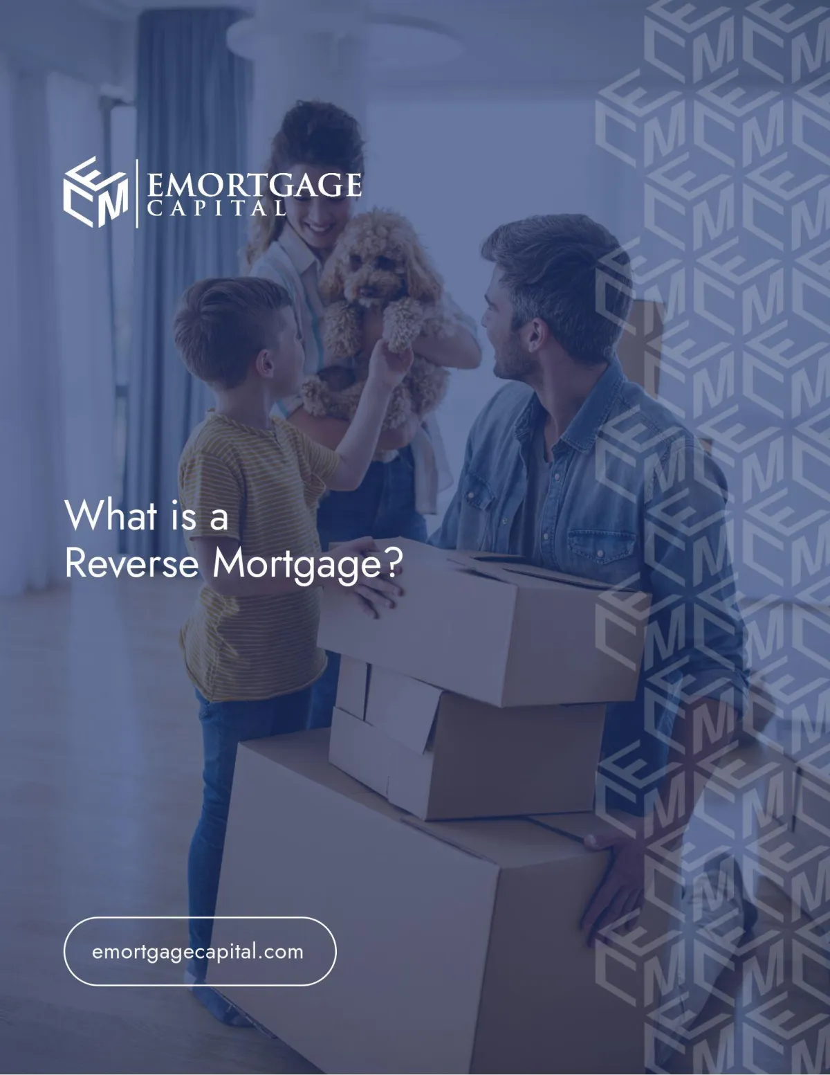 Level Up Mortgage | Reverse Mortgages