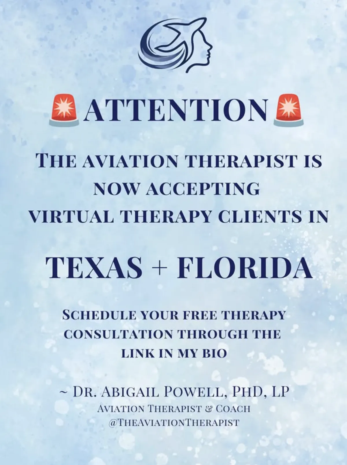 The Aviation Therapist Expands Virtual Therapy Services to Florida