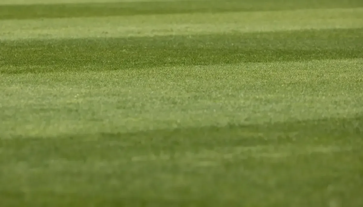 Lush green lawn after premium lawn care service