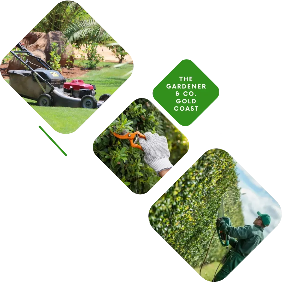 Lawn Mowing Eastlakes NSW – Edging and Whipper Snipping