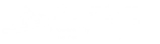 VAPurchaseCashOutLoan.com Logo
