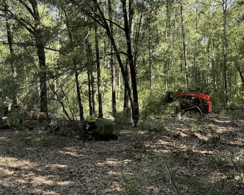 Opp, AL Tree Trimming