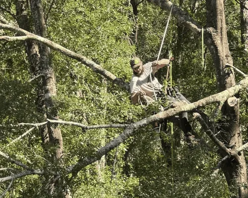 {{ custom_values.service_1 }} in {{custom_values.biz_area_1})