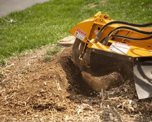 Forestry Mulching in Brewton, AL
