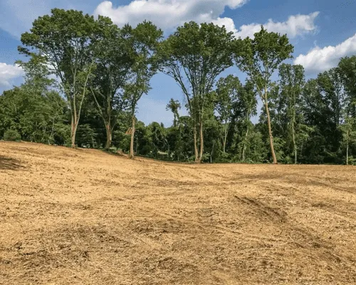 Stump Grinding Brewton, AL