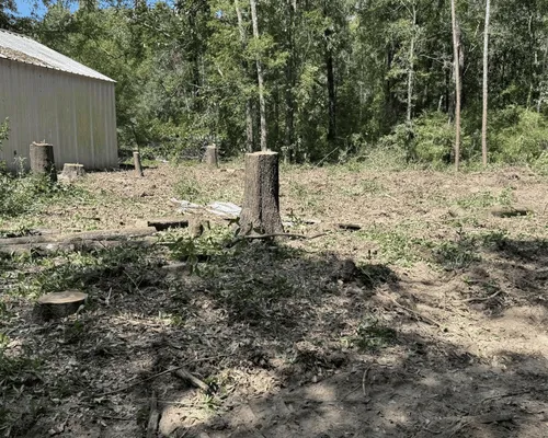 Tree Trimming Brewton, AL