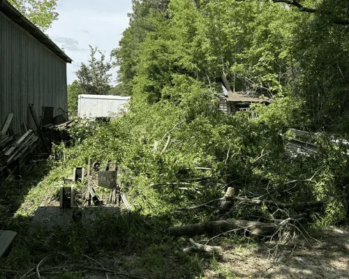 Tree Trimming Brewton, AL