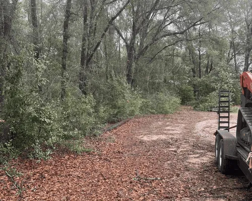 Tree Removal Brewton, AL