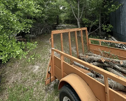 Tree Removal in Brewton, AL
