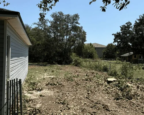 Tree Removal Brewton, AL