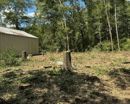 Storm Debris Removal Brewton, AL