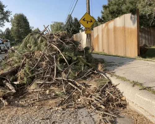 Enterprise, AL Stump Grinding