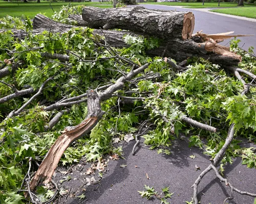 Building Site & Slab Preparation Brewton, AL