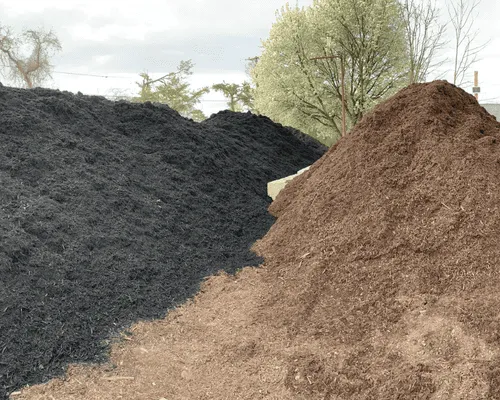 Andalusia, AL Stump Grinding