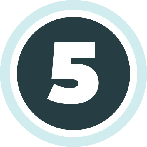 The Number Five graphic