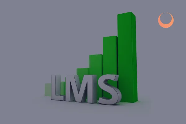 How Does a Loan Management System (LMS) Work?