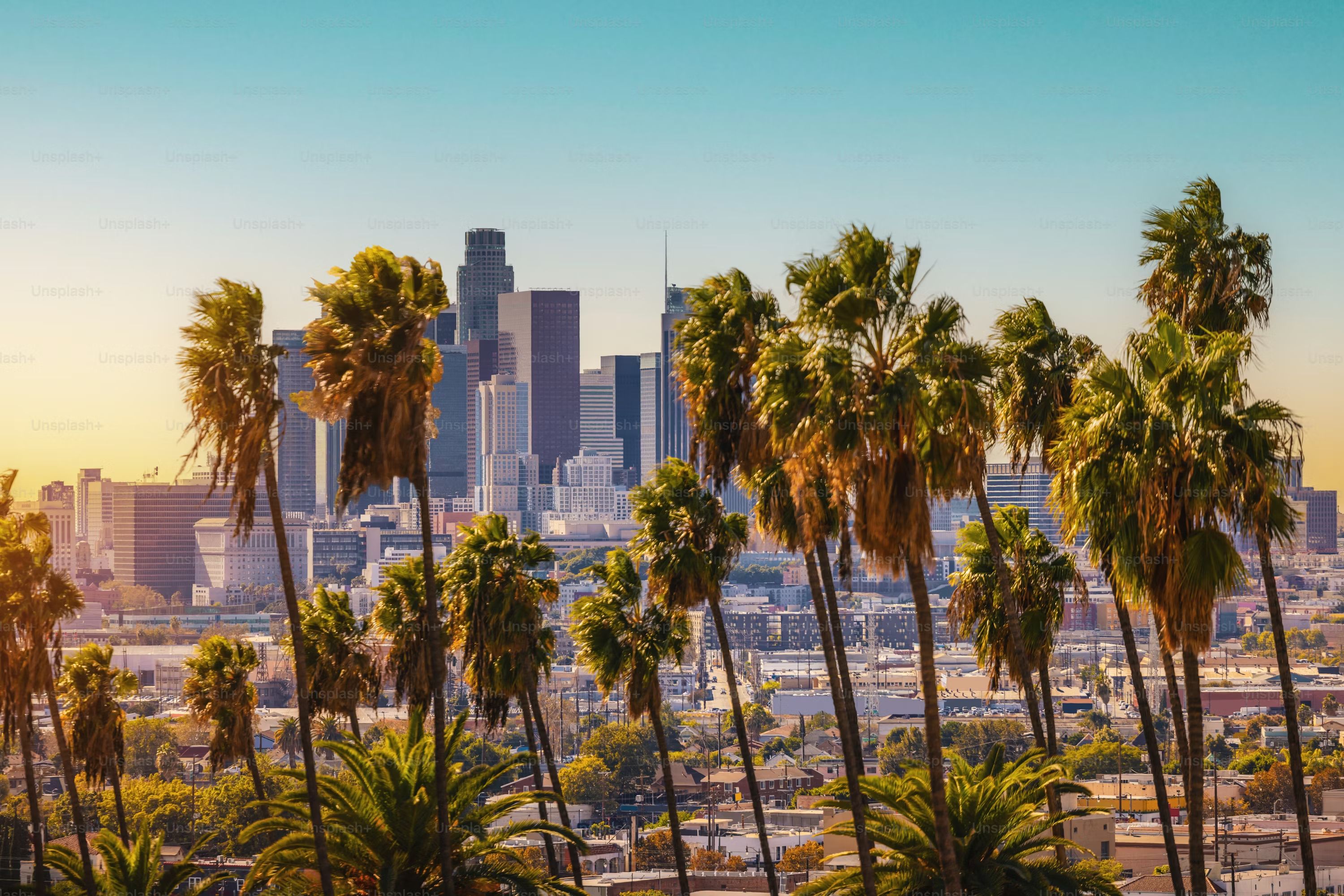 Scenic Drives Near Los Angeles for a Perfect Weekend Road Trip 🌴🚗 (Infamous Roadstar Rentals, Los Angeles, CA)