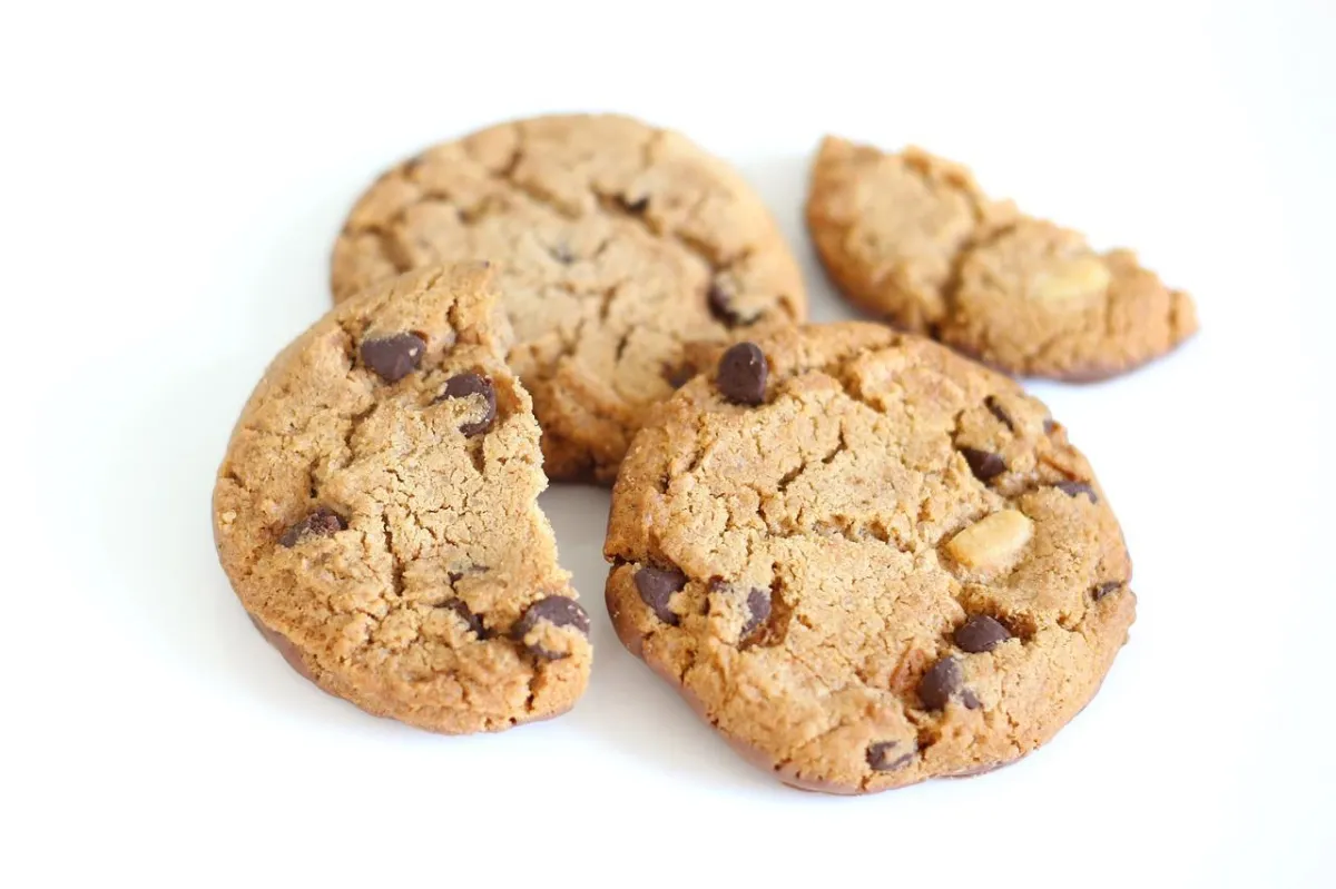 Chocolate Chip Cookie Bake-off ChocoFest 2025 Sherwood Park