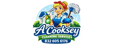 Professional Cleaning Pearland