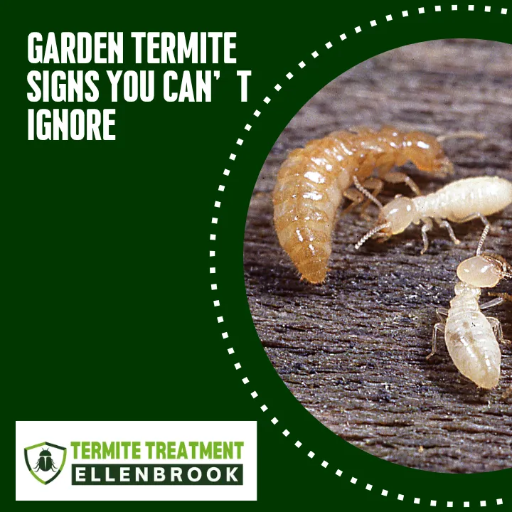 Visible signs of termites in a garden, including damaged plants, affected tree bark, soil tunnels, and termite activity near outdoor wooden structures.