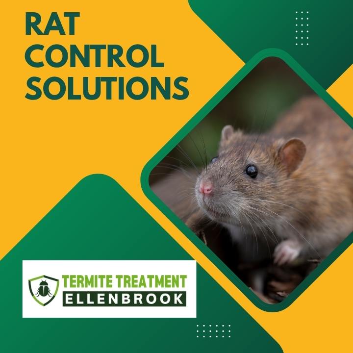 Smart rat control solutions