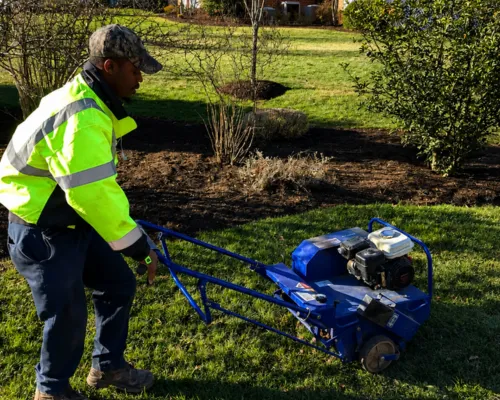 Chesapeake Mowing