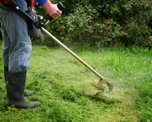 Weedeating in Suffolk