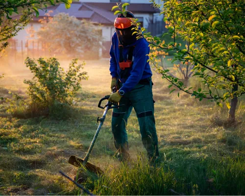  Mowing
