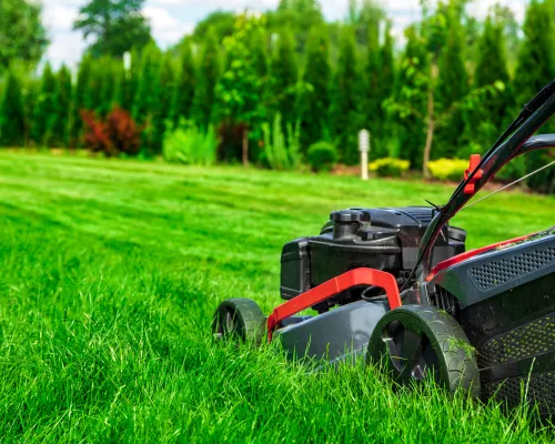 Mowing