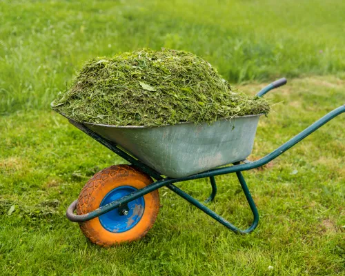 Smithfield Full Service Lawn Care