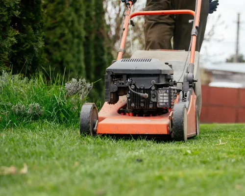Mowing
