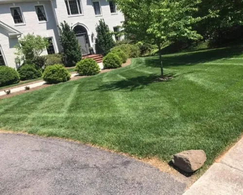 Mowing Suffolk