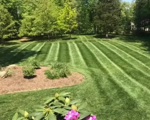 Full Service Lawn Care Suffolk