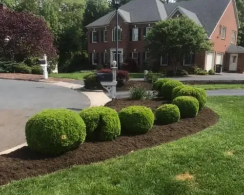 Weedeating 