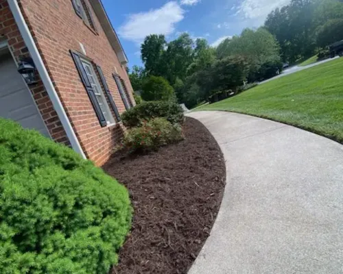 Full Service Lawn Care Suffolk