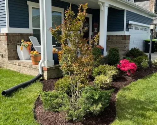 Full Service Lawn Care Suffolk