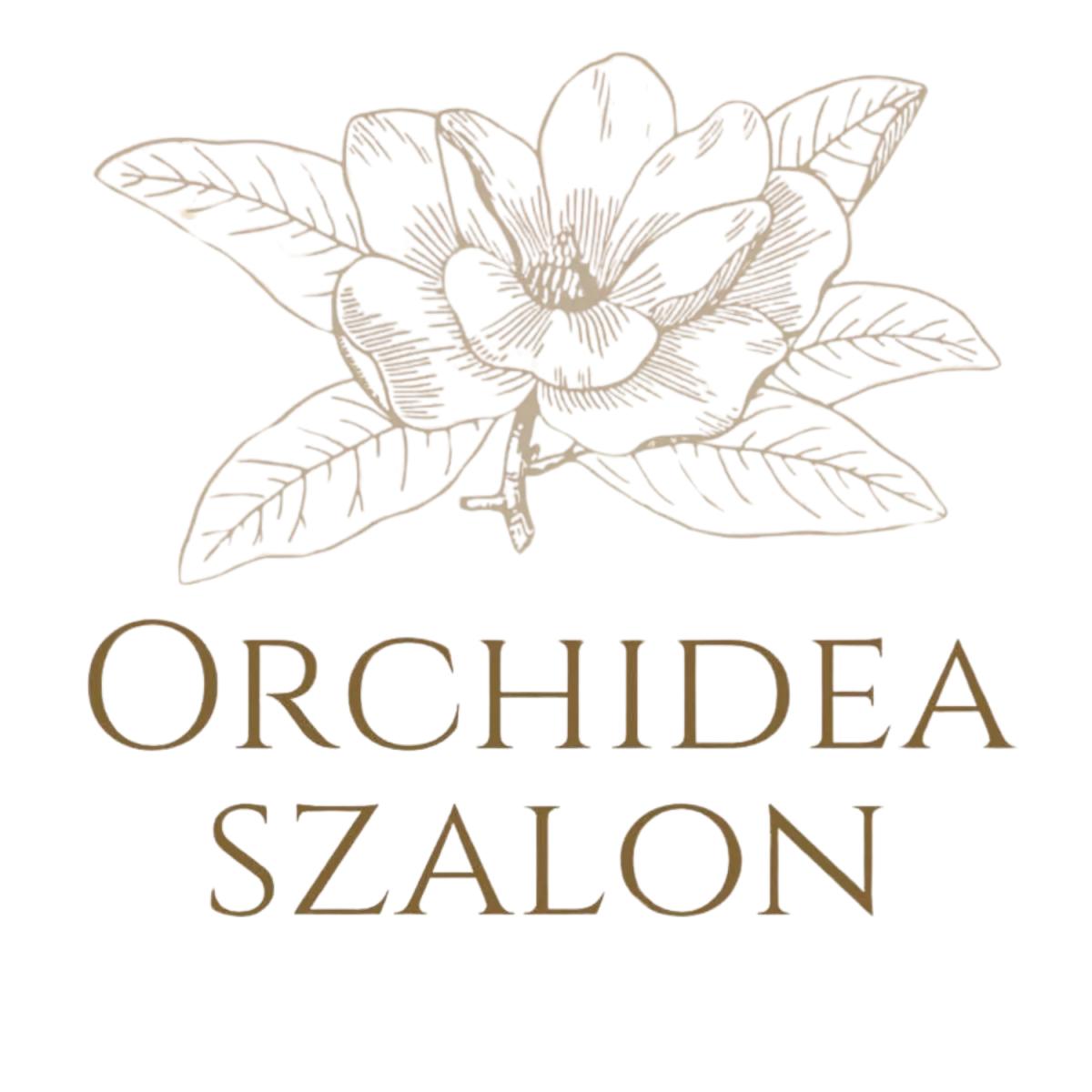 Orchidea Szalon