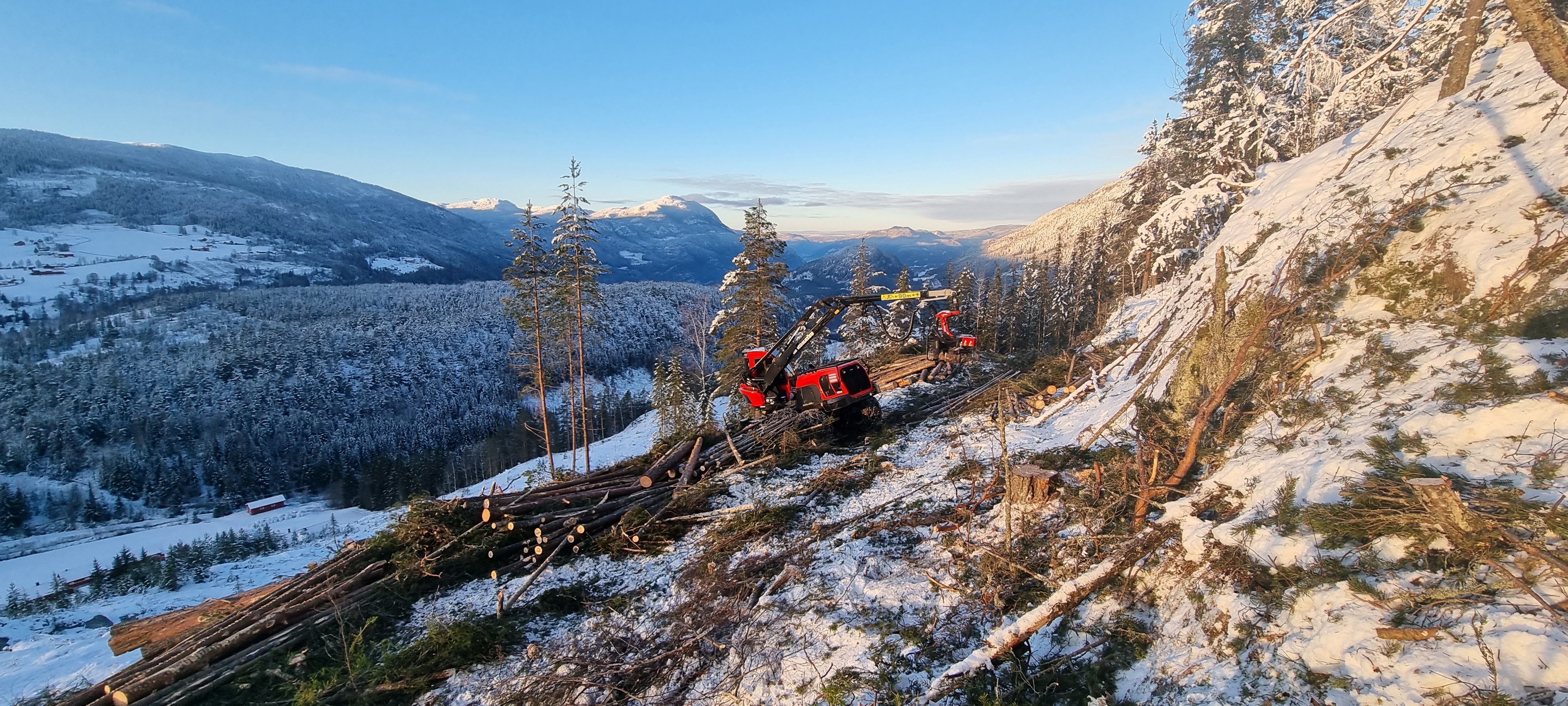 Hallingdal Tynning