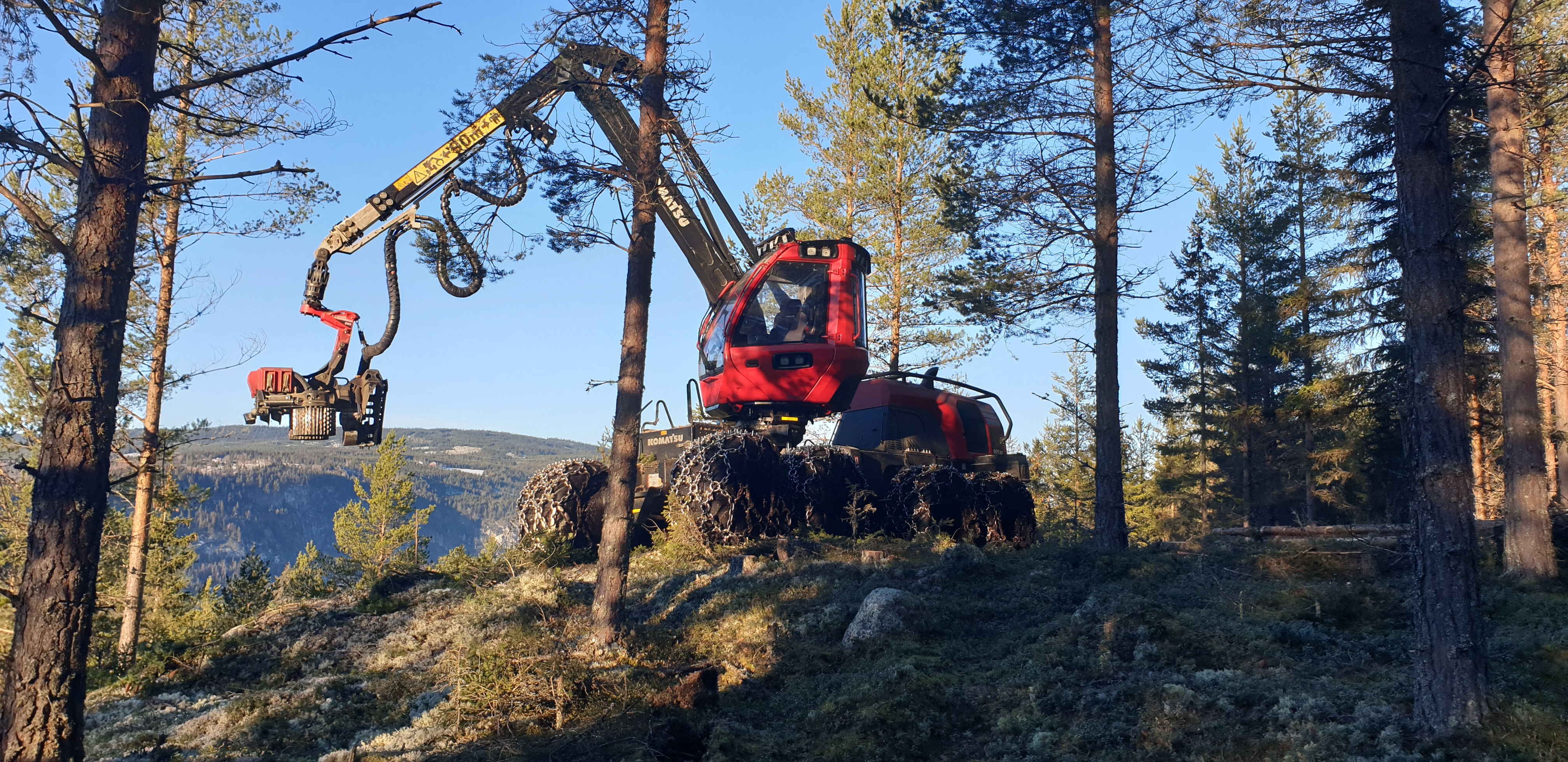 Skogsdrift og Skogsrådgivning Gol
