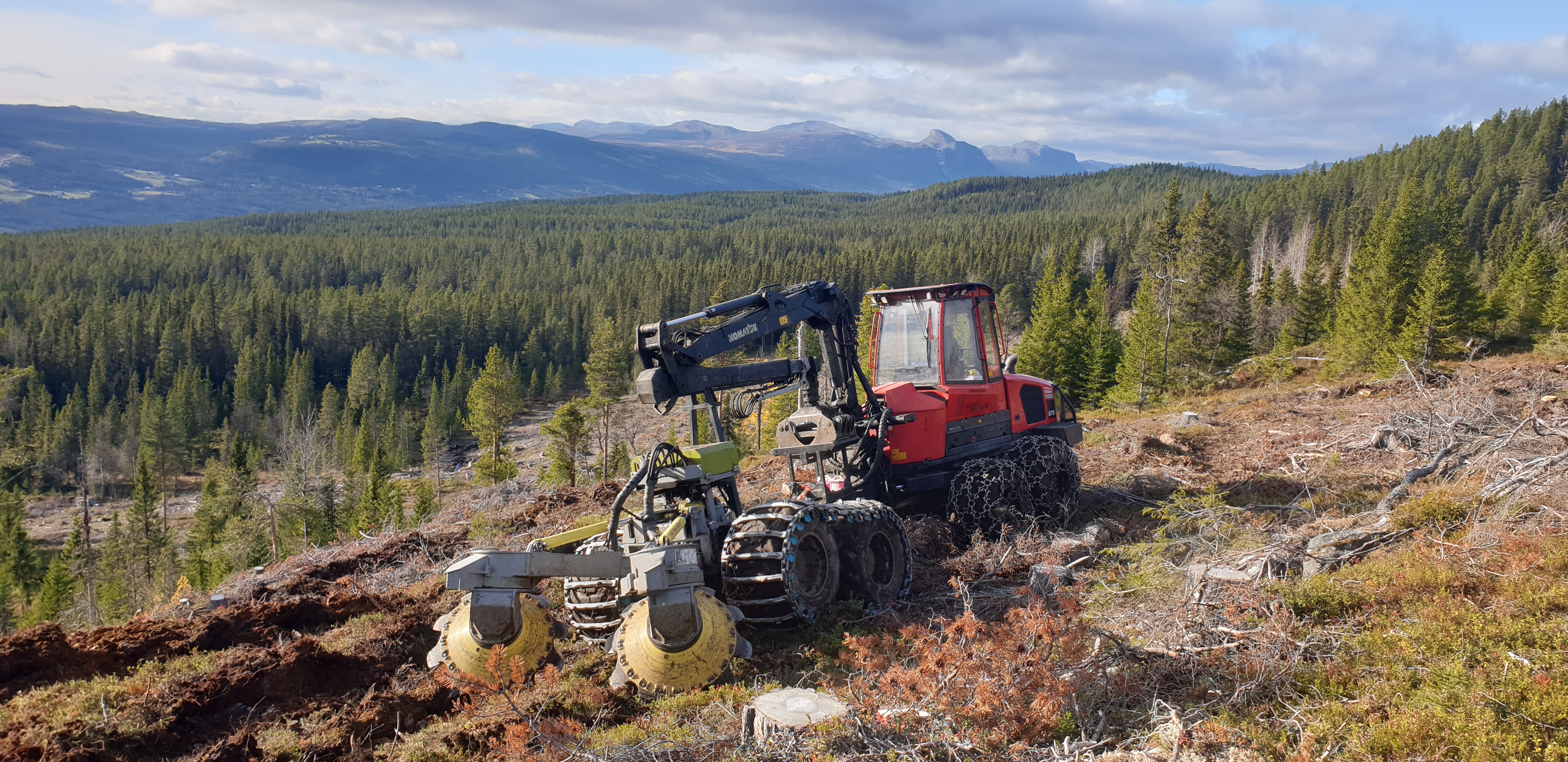 Hallingdal Tynning