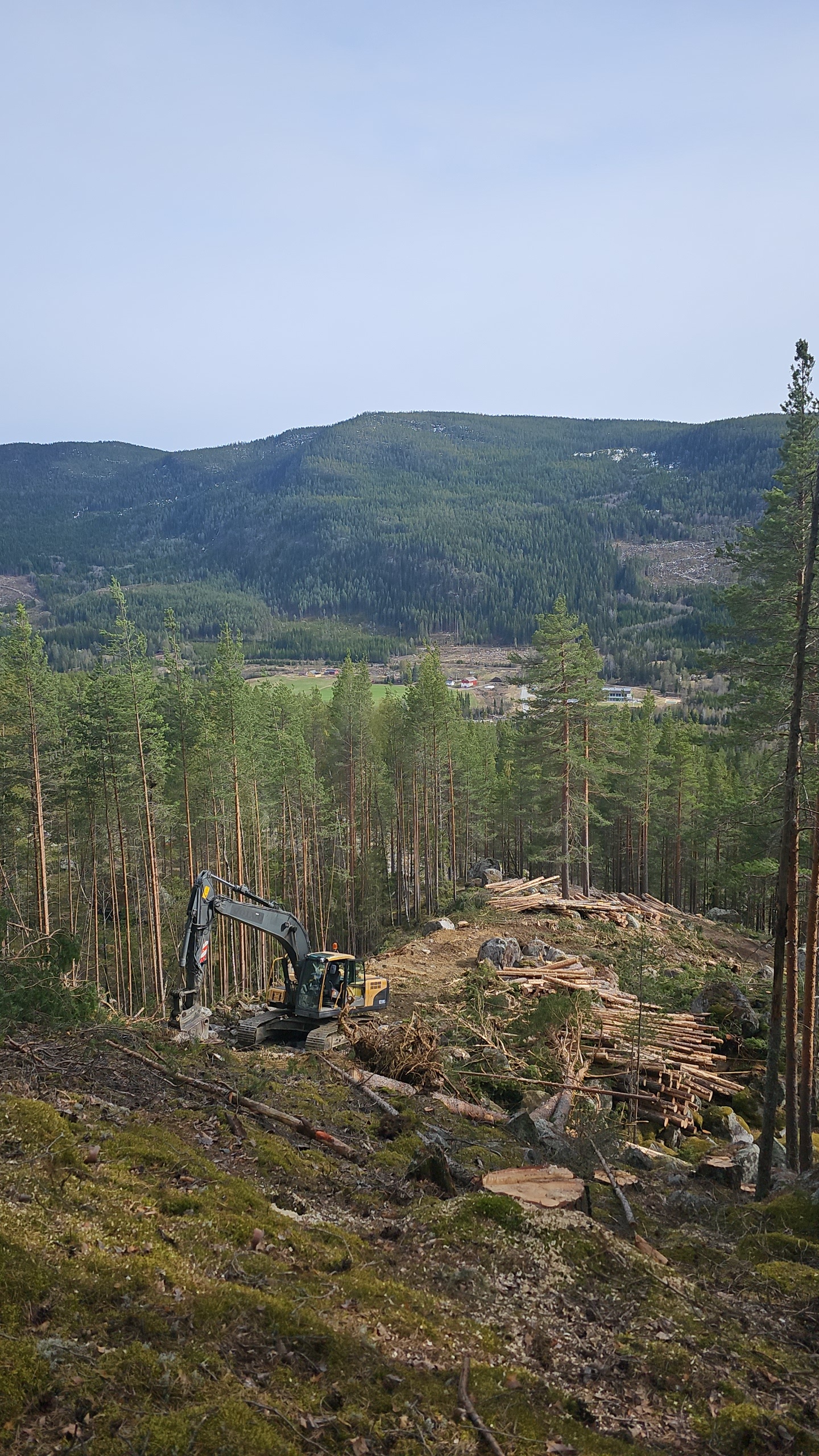 Sluttavvirkning Gol